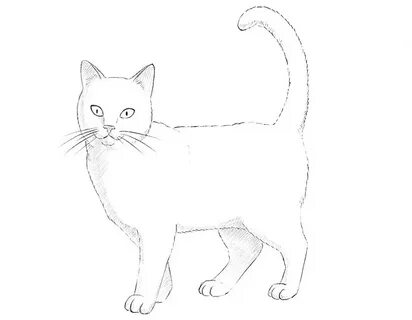 Простые рисунки кошек