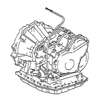 246 6152