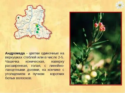 Липецкая красная книга