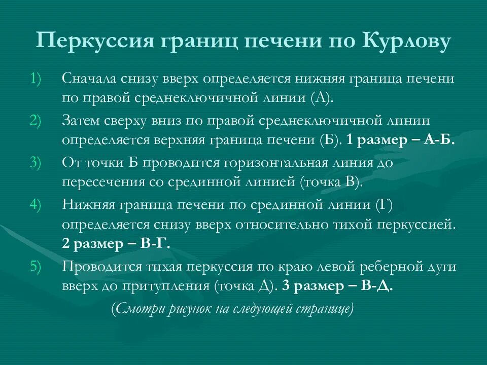 Печень по курлову у детей. Перкуссия печени по курлову методика. Границы печени перкуссия. Перкуссия границ печени по курлову. Границы печени по курлову в норме.