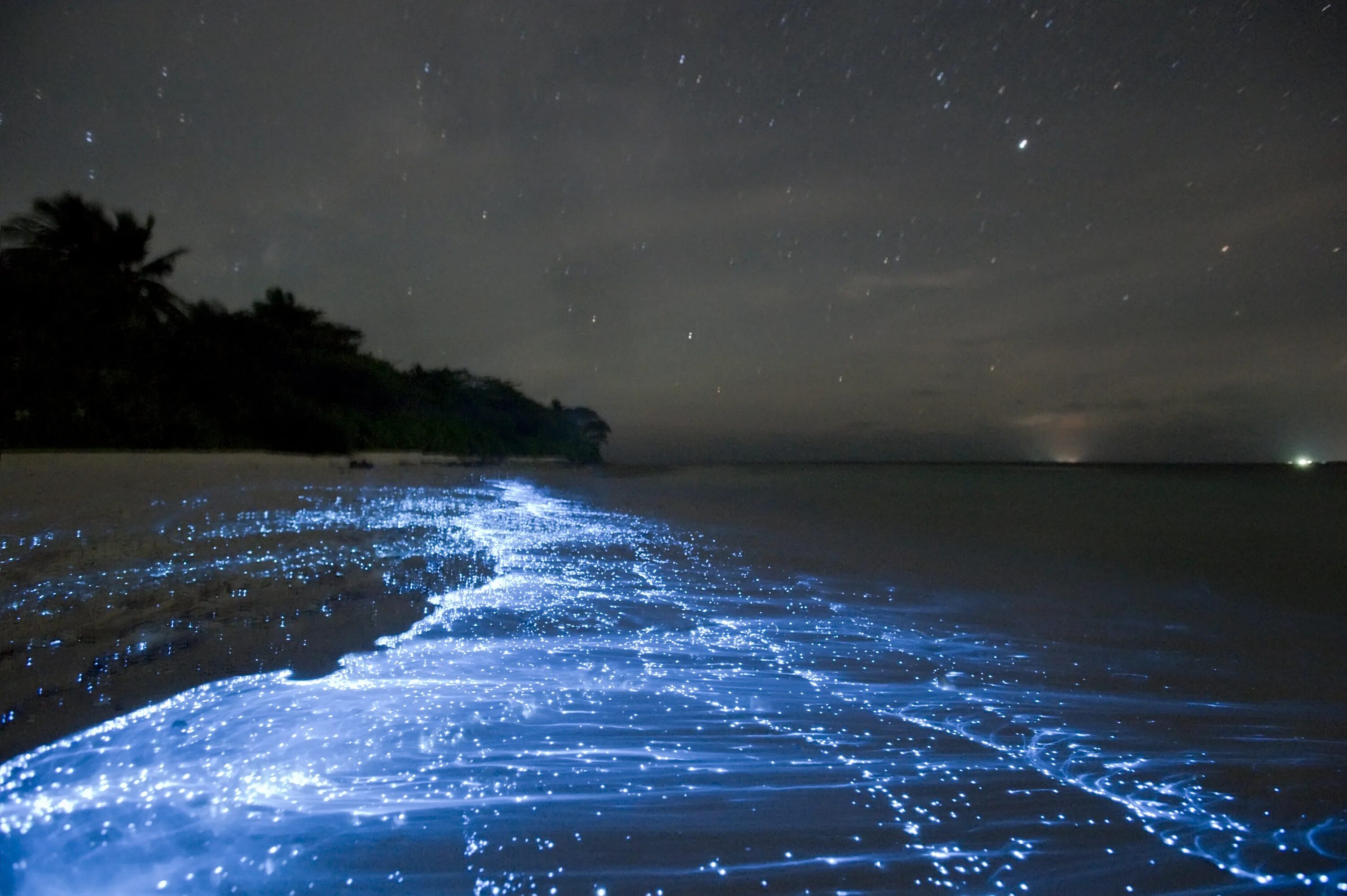 Glowing beach
