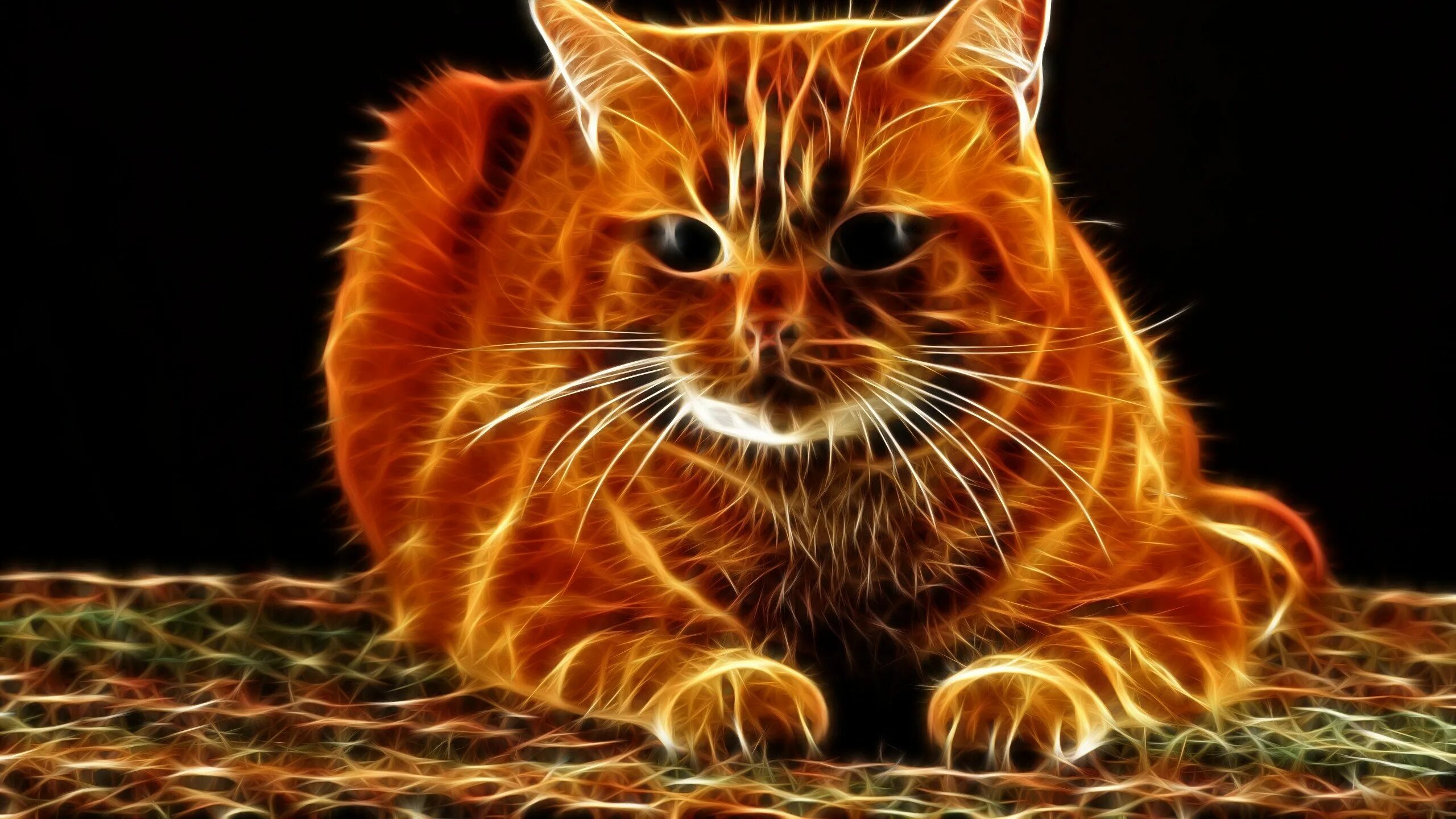 Рыжий кот режим работы. Рыжий кот. огненно рыжий кот. огненная кошка. огненный котенок.