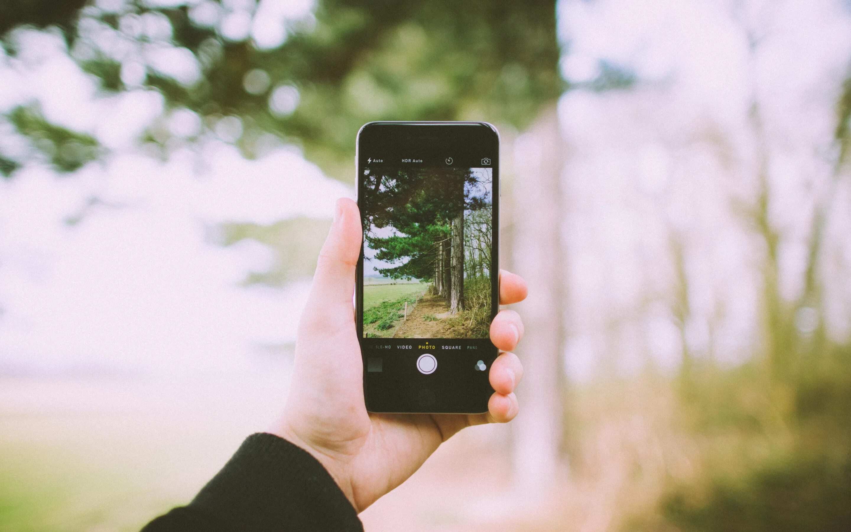 Телефон сам фоткает. Фоткает смартфоном. Фоткает на телефон. Смартфон в руке. Фотографирует на телефон.