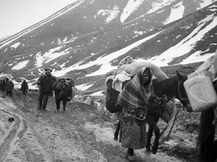 Азербайджанцев депортируют