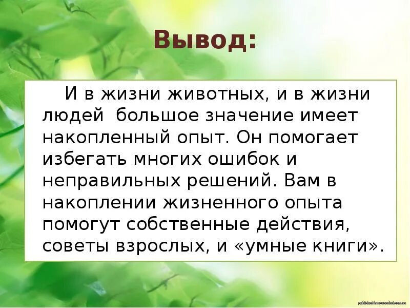 Вывод опыта. Жизненный опыт вывод. выводы из жизненного опыта. ошибки в жизни человека вывод. вывод на тему жизненный опыт.
