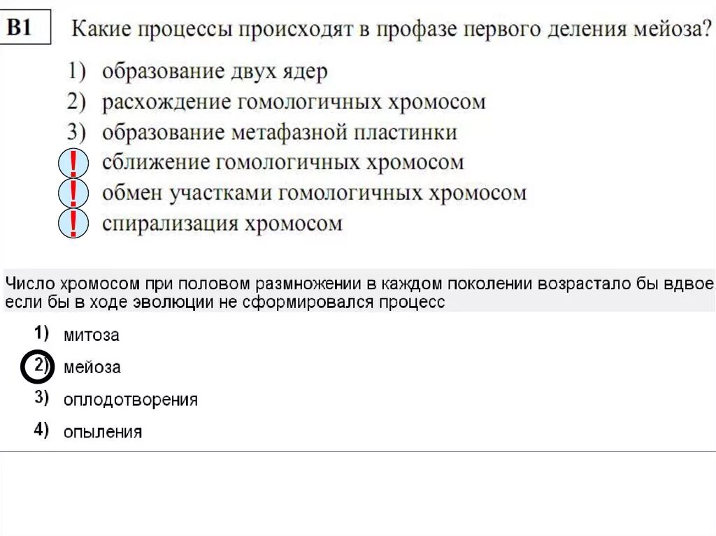 В профазе мейоза 1 происходят процессы. Процессов, которые происходят в профазе первого деления мейоза. Профаза первого деления мейоза процессы. В мейозе в профазе первого деления происходят процессы. Какие процессы происходят в профазе первого деления мейоза.