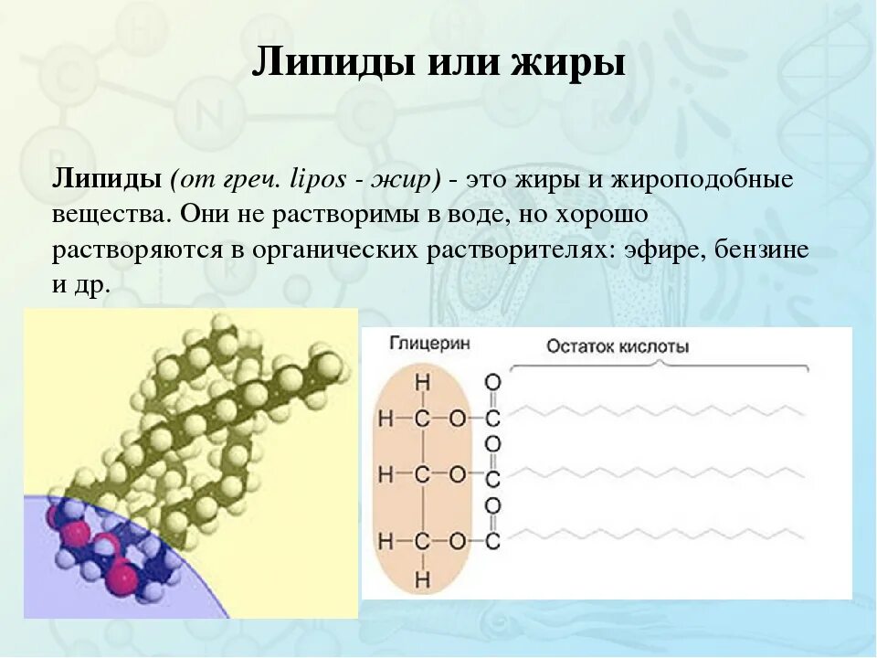 Липиды рисунок строение. Строение жиров липидов. Химическая структура липидов.