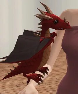 Dragon petting