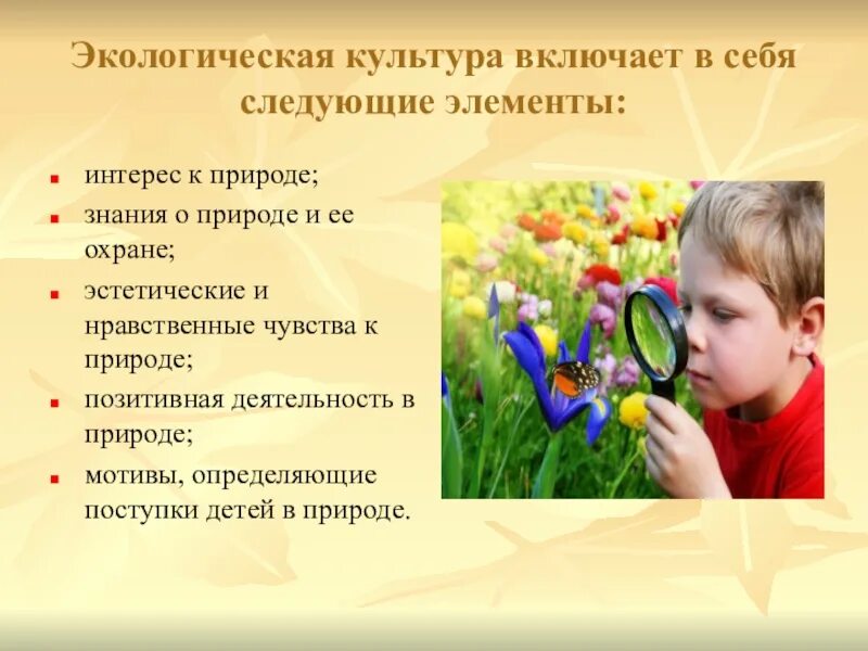 Растения младших школьников