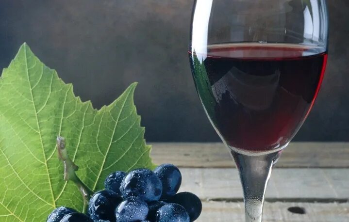 Купить виноградное вино. Виноградное сусло. Виноград. Вино.энотерапия. Энотерапия. Сусло вино.