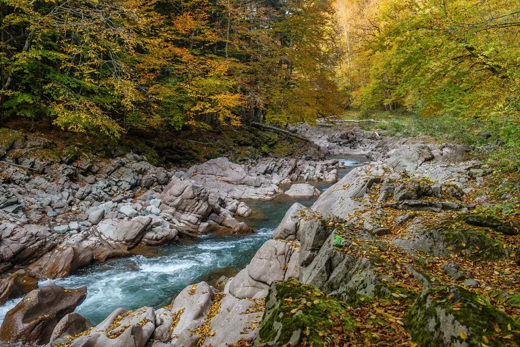 Туапсе осенью. Осень в Туапсе фото. Город Туапсе осенью. Осень фото красивые в Туапсе. Река киша