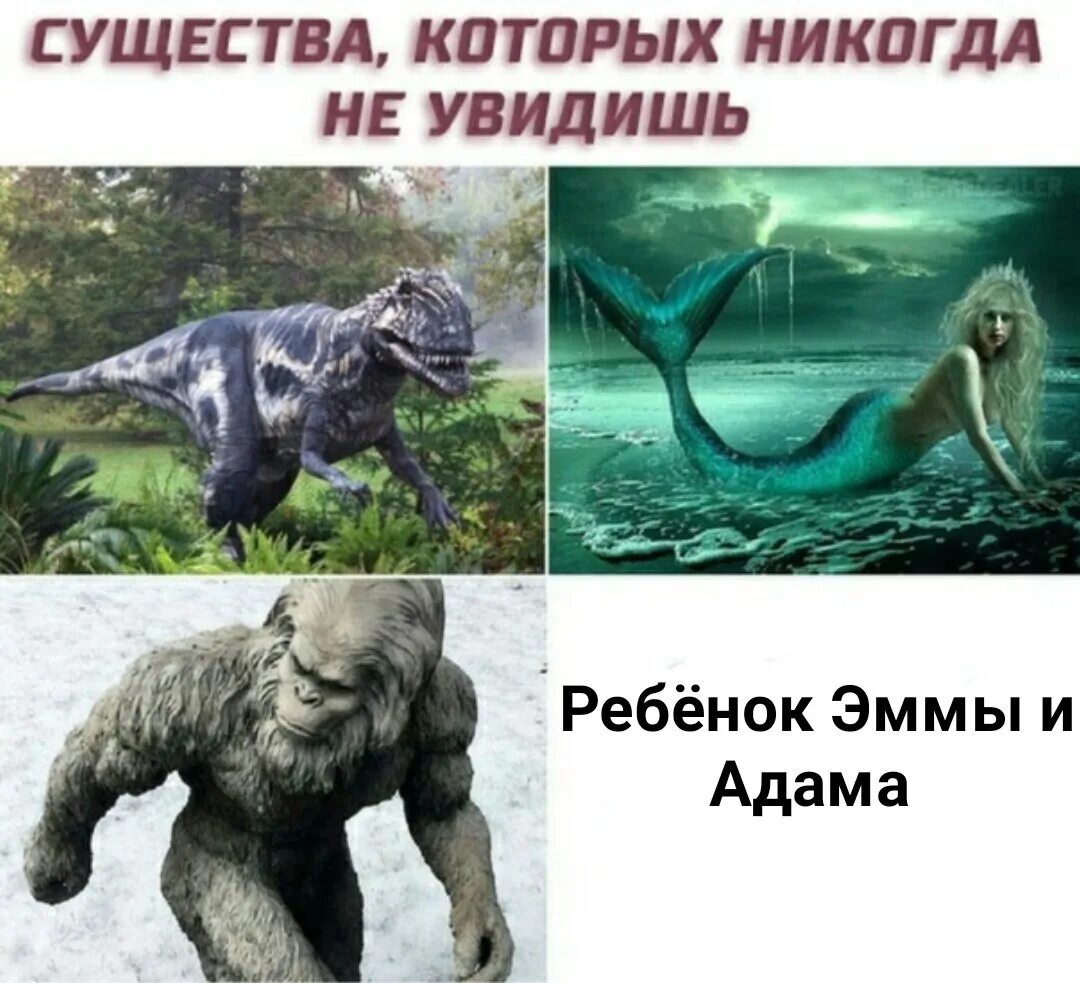 Никогда не видели друг друга. Живые существа. Существа которые никто не видел. Животные которых никто никогда не видел. Человек живое существо.