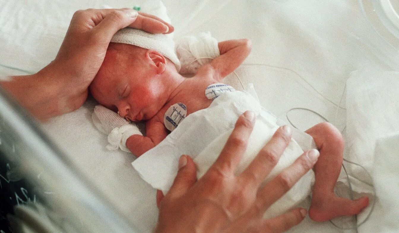 31 неделя 23 года