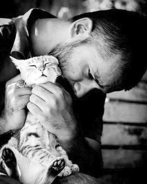 Мужчина любящие кошек. Парень с котенком. Мужчина с котом. Мужчина с котом на руках. Котенок на руках у мужчины.