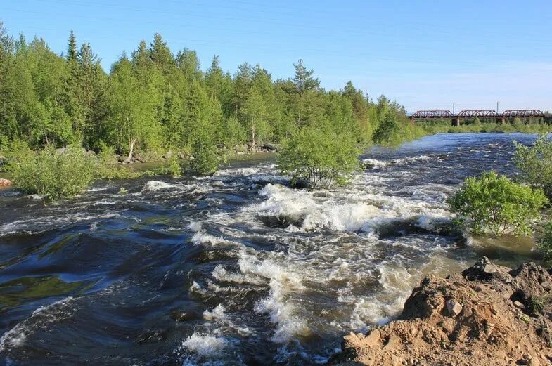 Кандалакша реки. Устье реки нива кандалакша. Река нива полярные зори. Кандалакша подвесной мост. Кандалакша фото.
