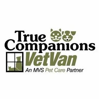 Care partner