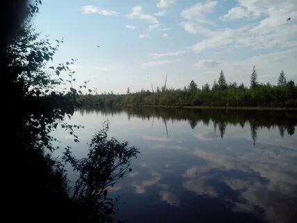 Уренгой рыбалка