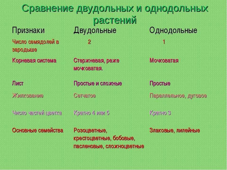 Как отличить двудольные. Отличия однодольных и двудольных растений таблица. Признаки растений класса двудольных и однодольных таблица семейства. Признаки однодольных и двудольных растений таблица. Отличие однодольных от двудольных растений таблица 6 класс.