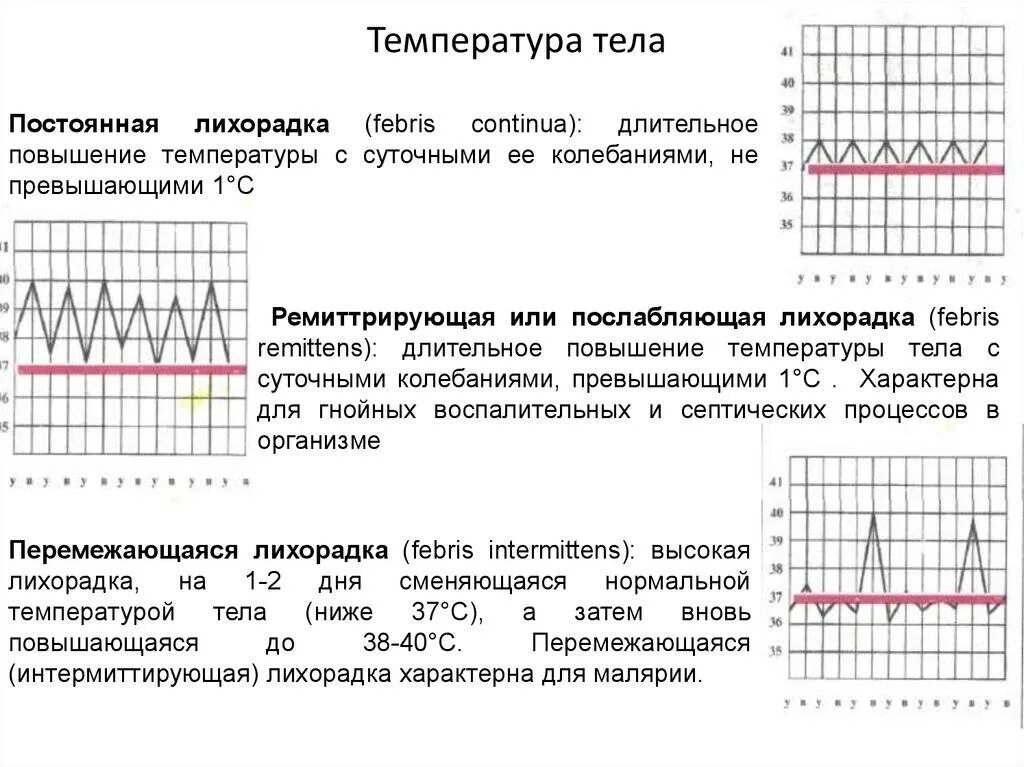 Причины повышающие температуру тела. Температура тела. Типы температуры тела у человека. Постоянная температура тела. Виды повышения температуры тела.