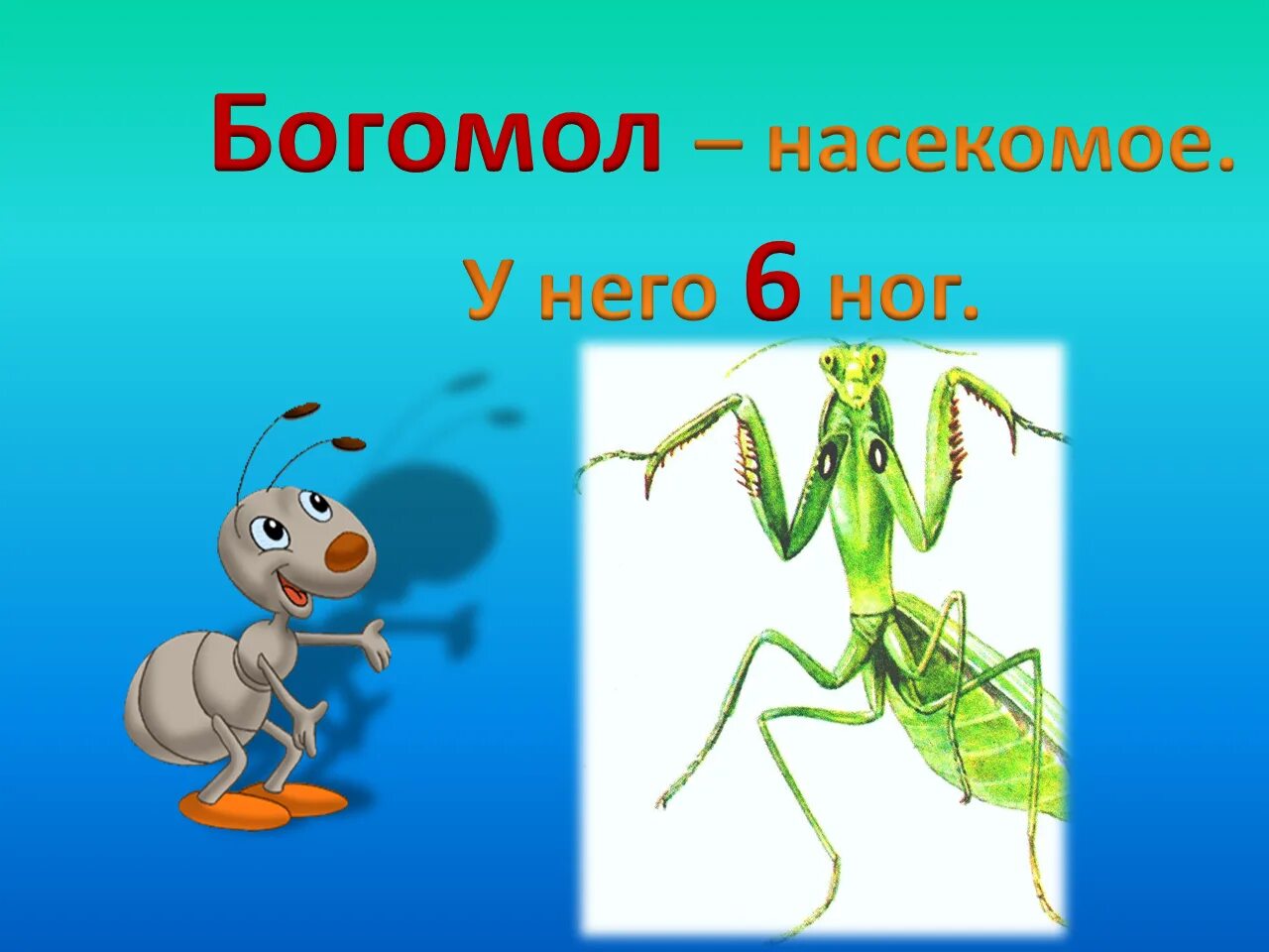 Насекомые урок 1 классе. Насекомые окружающий мир. Презентация насекомые 1 класс. Кто такие насекомые. Насекомые 1 класс окружающий.