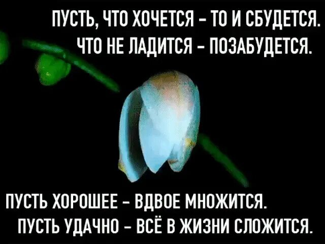 Пусть всё идёт своим чередом. Пусть в е идет своим чередом. Пусть все идет своим чередом картинки. Пусть множится все хорошее.