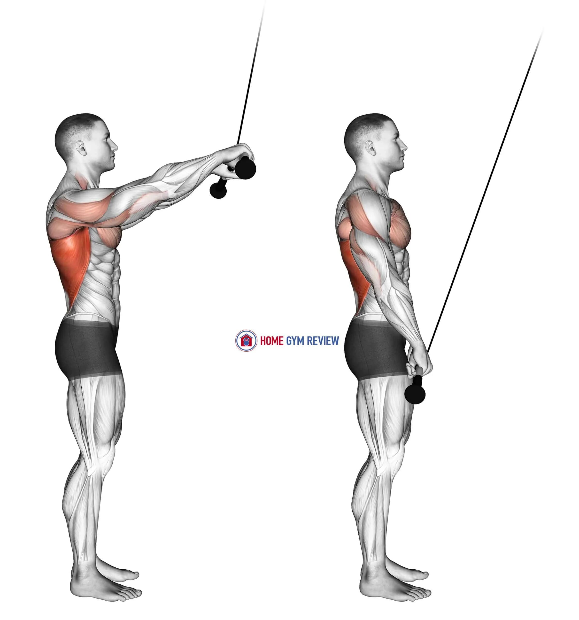 Кроссовер верхняя тяга. Пуловер в кроссовере. Straight Arm Pulldown упражнение. Тяга блока на трицепс стоя. Тяга верхнего блока стоя.