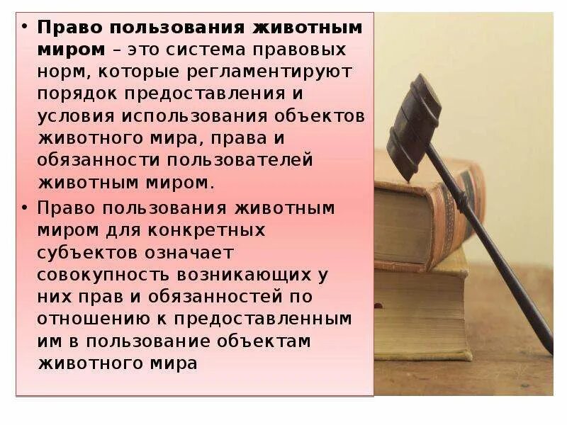 Право пользование комнатами. Виды право пользования животным миром.