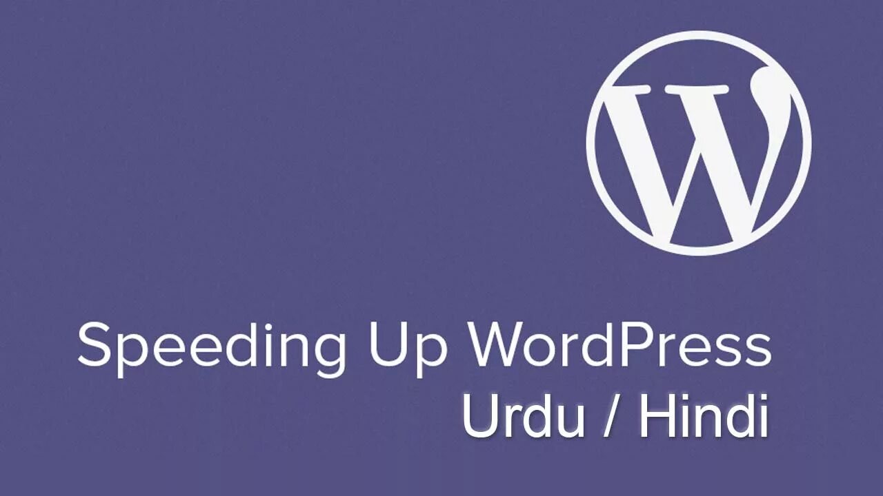 Wordpress 6