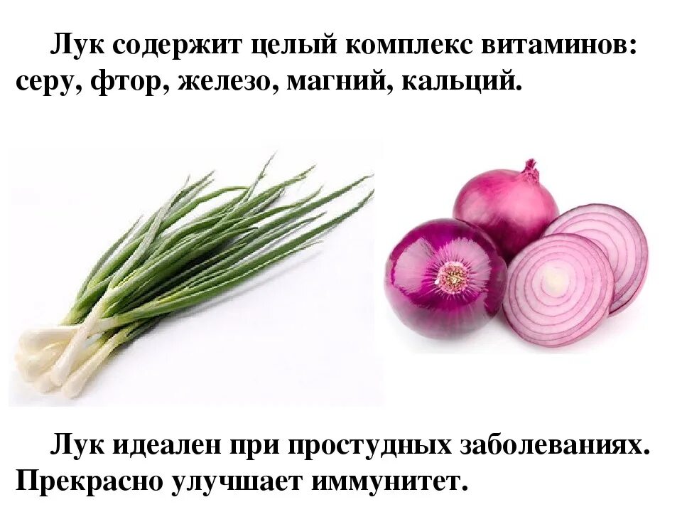 Витамины содержащиеся в луке репчатом. Витамины содержащиеся в луке. витамины в луке репчатом. зеленый лук витамины содержит. полезные вещества в луке репчатом.