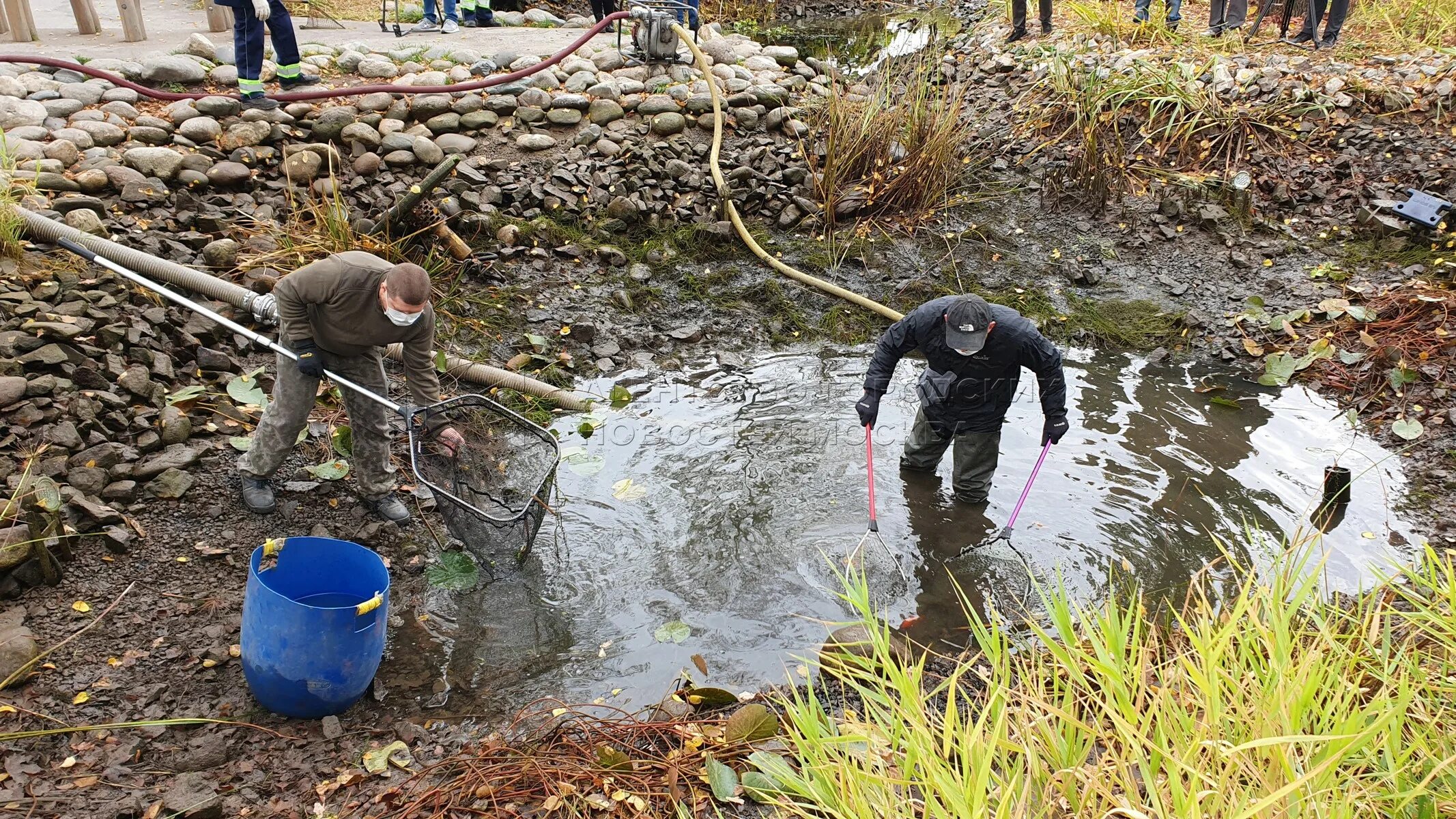 Реки выносят свои воды в. Зарядье парк прудики. ГУП Мосводосток пруды. Пруды-отстойники ГУП Мосводосток. Мосводосток рыбалка.