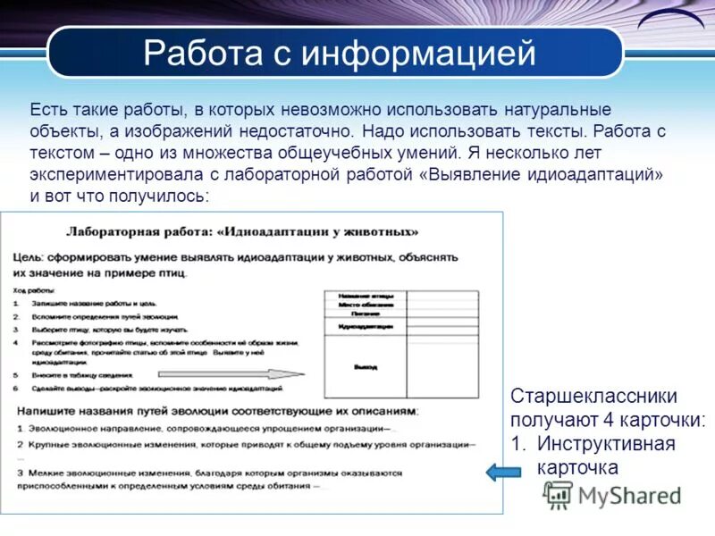 Иные персональные данные. Программы для работы с текстом. Для работы с текстом используют. Для работы с текстом используют. Панель инструментов форматирование.