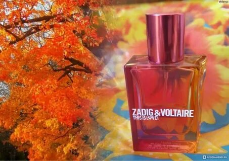 Zadig this is love