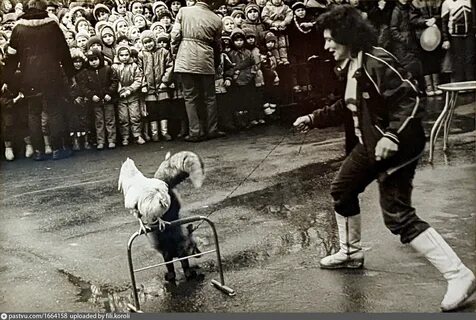 Апреля 1987