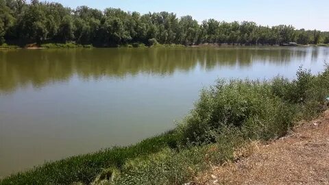 Река была не широка
