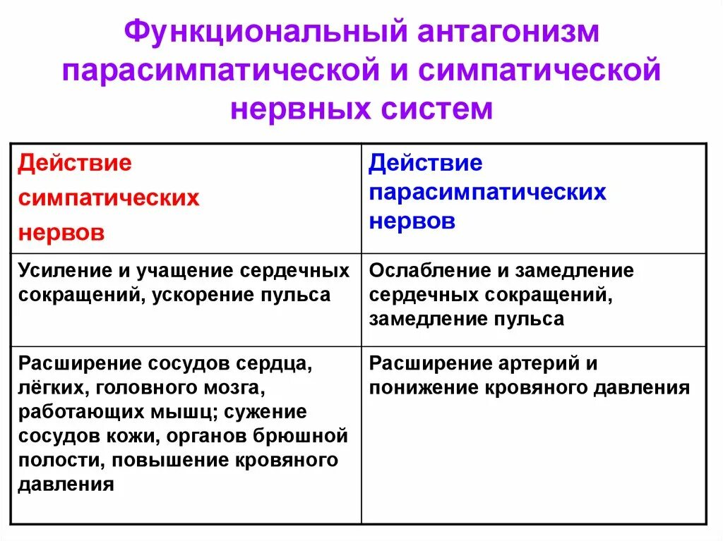 Парасимпатическая вегетативная нервная система функции. За что отвечает симпатическая и парасимпатическая система. Симпатическая и парасимпатическая нервная система отличия таблица. Функции симпатической и парасимпатической НС. Отличие симпатической от парасимпатической нервной системы.