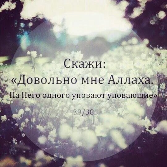 Уповать на всевышнего. Мусульманские цитаты. Цитаты достаточно мне Аллаха. Цитаты про Аллаха. Творение Аллаха.