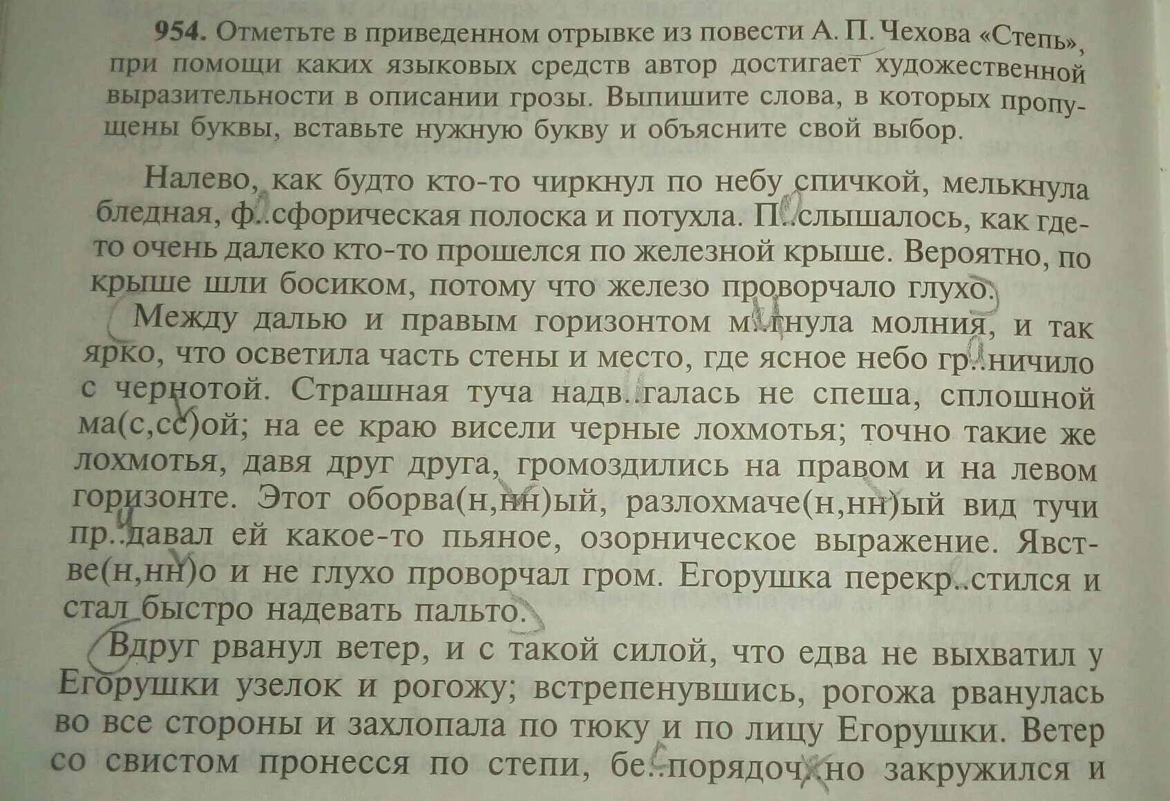 Степь отрывок из повести. Отрывок из повести. степь чехов отрывок. степь отрывок из повести чехова. отрывки повестей.