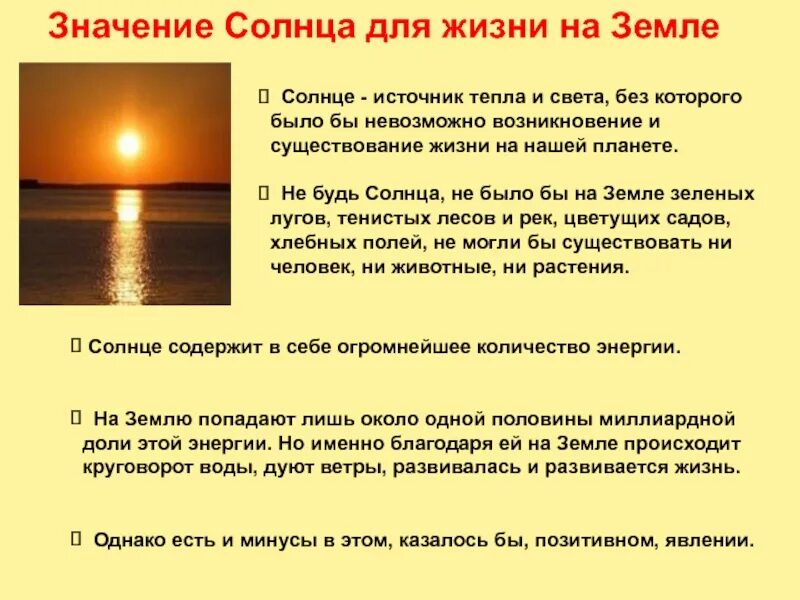 Значение тепла в жизни растений. Теплые коты. Роль тепла в жизни растений. Значение слова теплый. Внутренняя энергия, работа, теплота, теплоемкость.