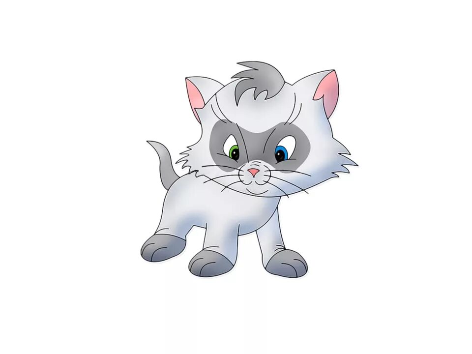 Белая кошка по английски. Кошка карточка для детей. Кошка на английском языке для детей. Котенок карточка английский. Кошка картинки для детей карточки
