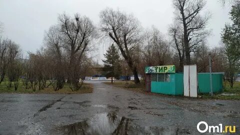 Зеленый остров работа