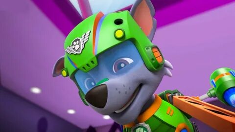 Adventure paw