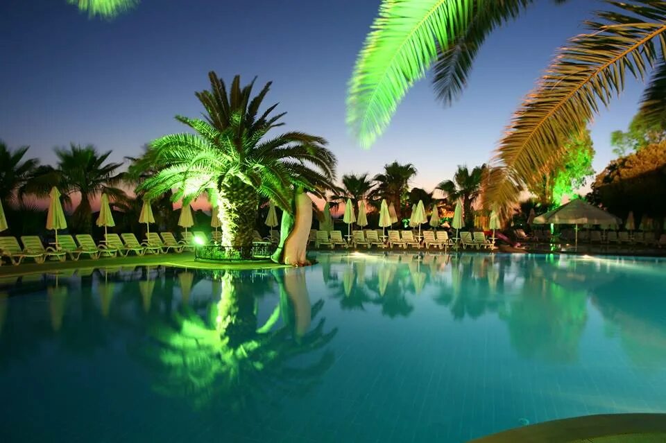 Delphin botanik world of paradise 5. Дельфин ботаник резорт. delphin botanik world of paradise. botanik hotel &amp; resort (ex. delphin botanik world of paradise) 5*. дельфин делюкс отель 5 турция аланья.
