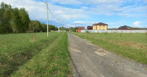 Днп березовая роща