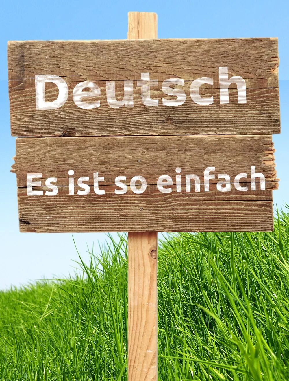 Deutsch. Deutsch ist einfach купить учебник. Einfach b1.