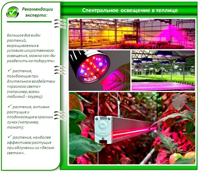 Спектр света для растений. Спектр нужный для растений. Полезный спектр света для растений. Показатели освещенности в теплицах. Красный свет для растений для чего