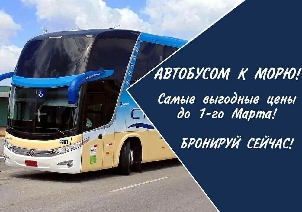 Автобусные туры из костромы. Автобусом к морю. Автобус на море. Автобусный тур на черное море. Реклама автобусных туров.