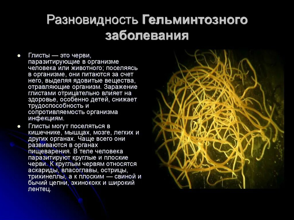 Болезни гельминтозы. Гельминтозные заболевания. Гельминтоз возбудитель инфекции. Виды гельминтов паразитирующих в организме людей. Глистные заболевания гельминтозы.