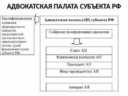 Органы исполнительной власти общественная палата