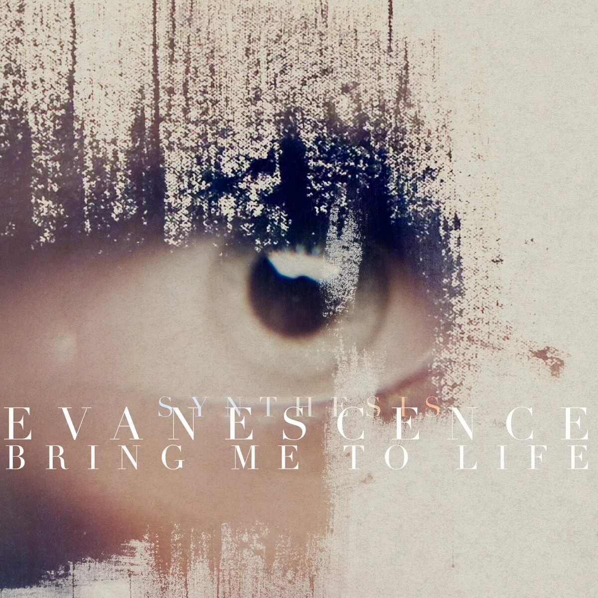 Life my cover. Эванесенс бринг. Evanescence bring me to Life 2003. Evanescence bring me to Life альбом. Bring me to Life обложка.