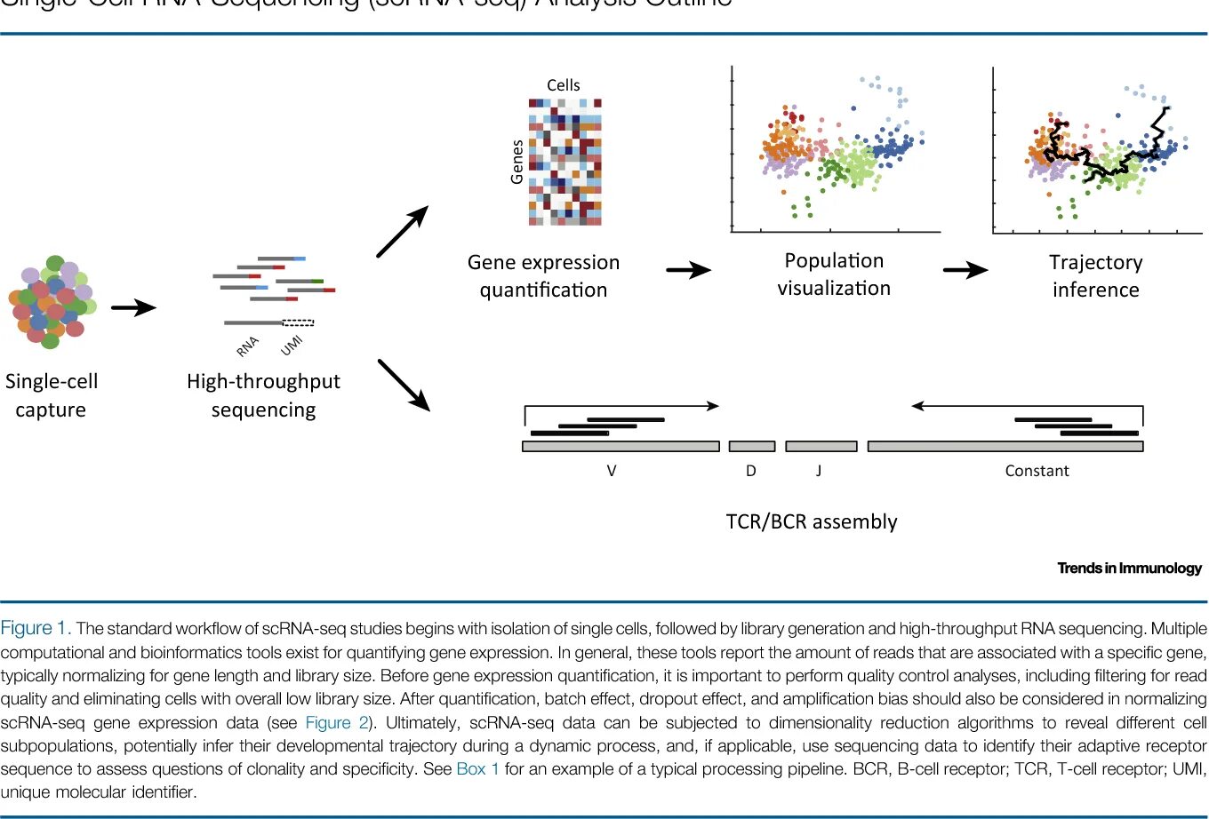 Single cell. Single Cell sequencing. Single Cell секвенирование. Single Cell RNA sequencing. Single Cell RNA секвенатор.